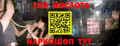 spice Свободный