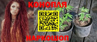 spice Свободный