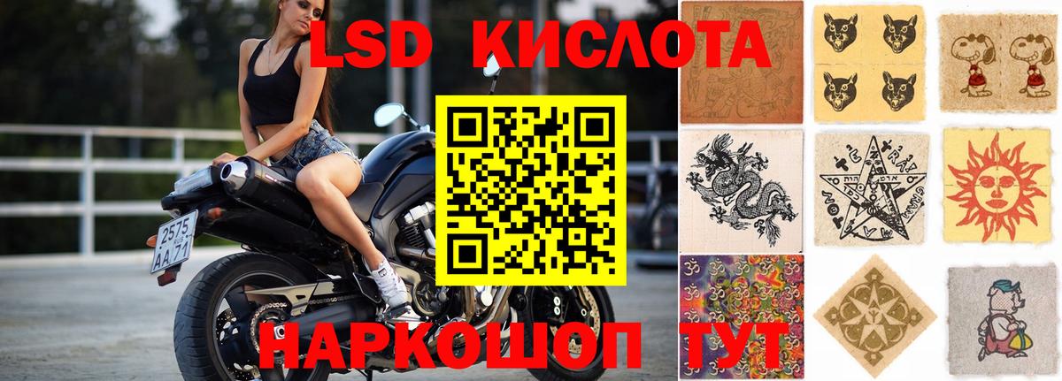 Псилоцибиновые грибы Свободный