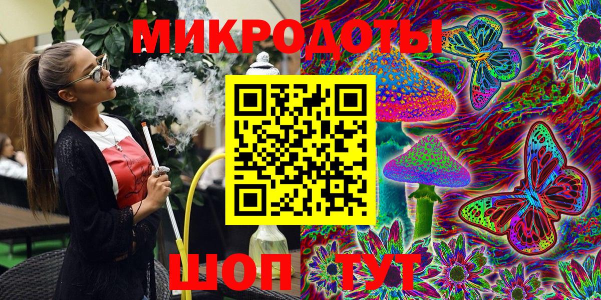 Галлюциногенные грибы Cubensis Свободный